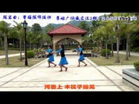 邢台市新河县振堂公园广场舞一曲红尘(两人版