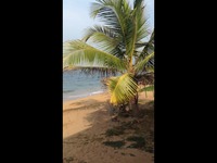 短片 斯里兰卡海边小火车-游戏视频_17173游戏视频