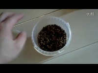 热点直击 鹤岗 海鸥 缸养锦鲤-游戏视频_17173