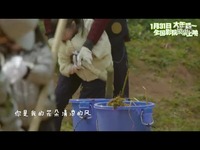 《爸爸去哪儿》大电影主题曲《宝贝去哪儿