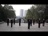 刘峰老师舞蹈 梨花颂-梨花颂 精华_17173游戏