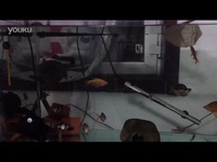 可爱猪鼻龟喂食训练-游戏视频 最热_17173游戏