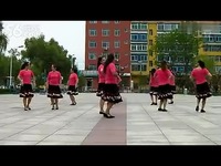 推荐视频 春花广场舞 大中国 圈舞 中四步 含口
