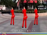 <em>惠汝广场舞 老哥爱小妹</em> 惠汝背面演示-游戏视频