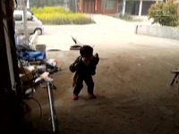 小孩<em>微信情妹妹广场舞</em>-宝宝 高清花絮_17173游