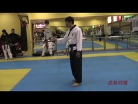 武林同盟中国最专业助推接踢月,踢月转体,双手