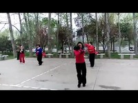 柔力球赶着马车去北京-视频 热门合集_17173游