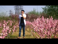 吕谢斌歌曲黄土高坡-视频 短片_17173游戏视频