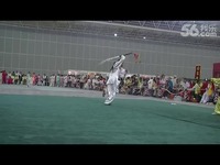 遂阳道人八卦刀-视频 最新_17173游戏视频