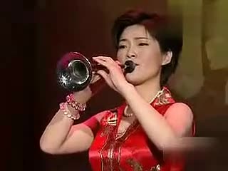 胡海泉唢呐独奏视频图片