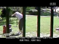 超清视频 Game囧很大第3期-威武<em>00后</em>威胁泄果