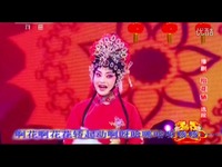 视频集锦 抬花轿 王红丽 梨园春 戏曲 豫剧 选段