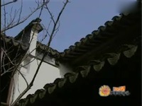 精华 杨柳朗诵戴望舒名篇《雨巷》-视频_1717