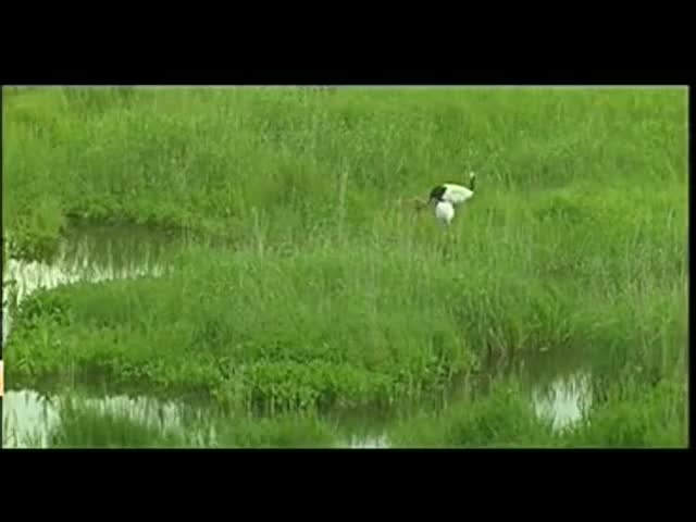 <em>龚玥</em>歌曲 - <em>女儿情</em>-免费在线观看-360影视