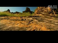 澳洲大陆蛇的生活4-自然密码 独家视频_17173