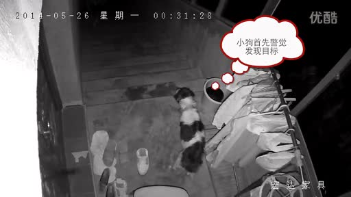 <em>变态男</em>专<em>偷女人内衣</em>丝 袜_标清-免费在线观看