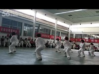 八极拳之梨花枪-八极拳 精彩片段_17173游戏视