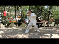 张化有梨花枪-开门八极梨花枪 集锦_17173游戏