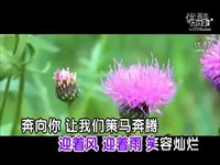 0149.优酷网-奔向你 《新还珠格格》片头曲_1