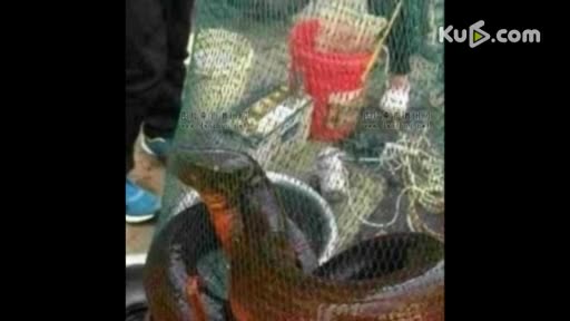 浙江湖州南浔浙北健身队<em>广场舞</em>专辑<em>双人</em>舞《辣