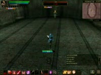 秒杀+10血色战士--极度兽性+_17173游戏播客